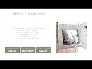 Transcode – Flutter [Stil vor Talent]