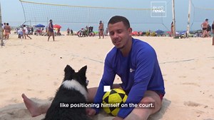 Meet Floki: The dog who became viral for his unbelievable beach volleyball skills