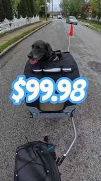 PRIJESSE Bike Trailer for dogs | Assembly, Road Test & Review! @Walmart