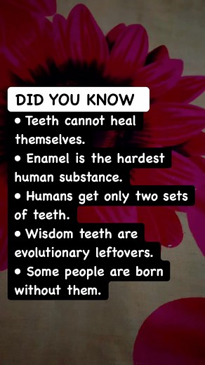🦷 Teeth Facts Dentists Never Mention #DentalFacts #HumanBody #DidYouKnow | Must Watch Reels