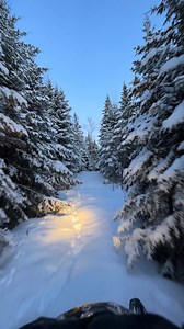 Eustis 🏔 Maine 🌲 snowmobiling conditions: snow covered trees 🌲 everywhere and about a foot of firm ground covering under 5 inches of new snow ❄️☃️🐾 as seen here 🤳🏻🌲 in the woods 🦌🐇 on January 21, 2023 at 4:37 PM, a few minutes after sunset 🌄. 🤳🏻 http://Kevin207Photography.com | Eustis Maine Scenery