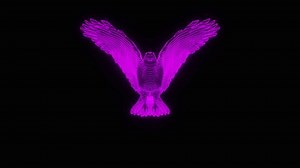 3d Neon Flying Eagle Animation Stock Footage Video (100% Royalty-free) 1079394695 | Shutterstock