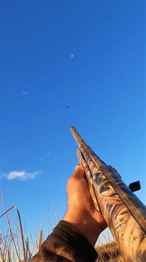 Definitely felt the full impact of a full choke with boss shells ! #duckhunting #waterfowl #hunting