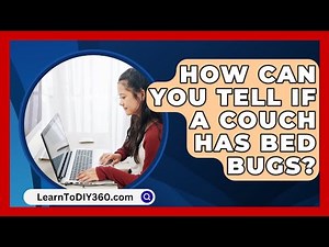 How Can You Tell If A Couch Has Bed Bugs? - LearnToDIY360.com