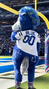 56K views · 9.7K reactions | Victory Monday vibes. | Blue Indianapolis Colts Mascot | Facebook