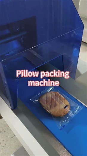 Automatic Pillow Packing Machine | Horizontal Flow Wrapper