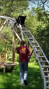 7.1M views · 14K reactions | WOW勞 We Love Tools | Total Tools | Facebook