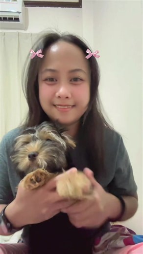 Aw waw waw waw 🤣 #woahchallenge #trending #dancechallenge #yorkie #tiktok #tiktokviral #babylove #stressrelief