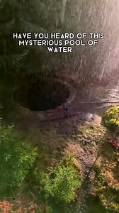 📍Torwood Blue Pool, Denovan Rd, Larbert FK5 4SWLimited park space on the Glen road towards Torwood Castle. A mysterious Blue Pool in Torwood Forest – a man-made brick pool filled with weird teal-blue water. The pool 20-feet across and around 12 feet deep and its purpose and builder remain a local mystery. Recommend - Visit Tappoch Broch, 2000 year old Broch. #scotland #visitscotland #explorescotland #travelscotland #torwoodbluepool | Mikey Youmans