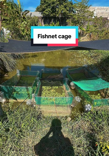 Nylon Fish Net Cage for Pang Fish Keeping in Aquaculture