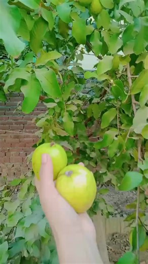 The Importance of Faith in Jesus Christ