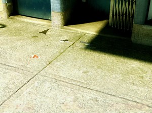 50K views · 3.1K reactions | Dragon boys. | Cartoon Network City | Facebook