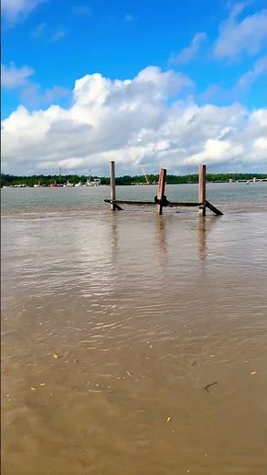 Amazônia & Atlantic Ocean | The Most Beautiful Nature on Earth