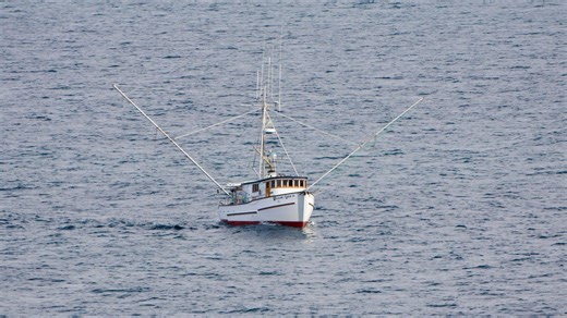 Say goodbye to bottom trawling under new ban on controversial fishing method
