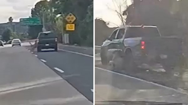 Dog falls out of moving truck on 405 Freeway near Burbank exit in Sherman Oaks, incident caught on video