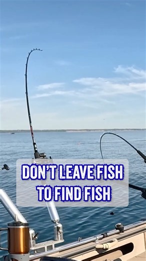DON’T Leave Fish to Find Fish