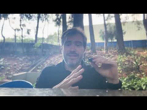 Ponte miocárdica: como fazer exercícios com segurança?