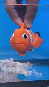 12K views · 223 reactions | We combined a 3D printer and an aquarium! For beautiful drop in our plataform!❤ #3d #3dprinting #3dprint #fish | Stlflix | Facebook