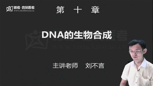DNA的生物合成1