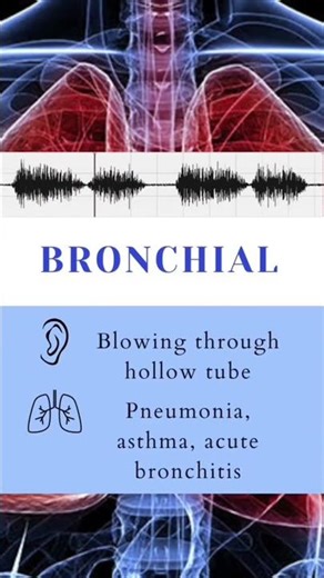 "Lung Sounds Made Easy 🫁 | For Nursing & Medical Students" #LungSounds #NursingStudents #Shorts"