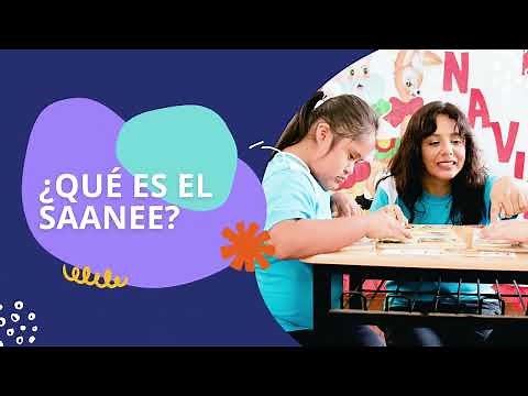 ¿Qué es el SAANEE?