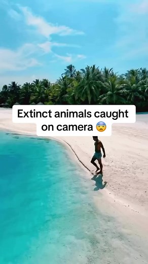 Extinct Animals Caught on Camera: Dodo Bird, Tasmanian Tiger, and More