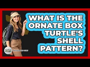 What Is The Ornate Box Turtle's Shell Pattern?