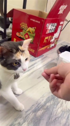 Xiaomi's Touch-Sensitive Technology: Feel the Magic with a Single Pointer