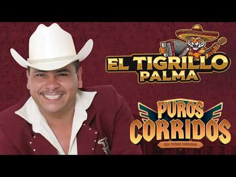 Lo Mejor de El Tigrillo Palma 🍻 Puros Corridos Norteños Clásicos 🎶🎶