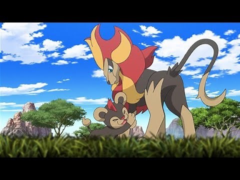 POKEMON XYZ SEASON 19 EPISODE 4 ENGLISH DUBBED || POKE TOONS