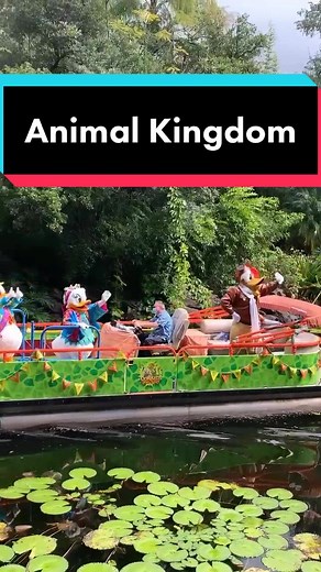 Character Cavalcade at Disney’s Animal Kingdom #dinseytiktok #disneyparks
