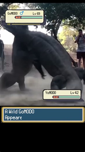 REAL Life Pokemon battle never seen before #pokemon #pokemonbattle #pokémon #memes #animals