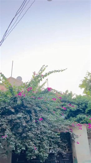 Muhammad Moustafa on Reels