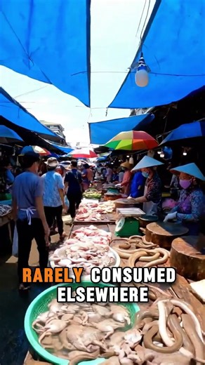 Unexpected Meat Options You’ll Only See in Asia