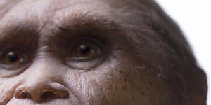 Archaeologists made a groundbreaking discovery that unveils the mysterious origins of real-life hobbits