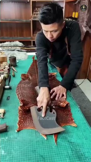 world's largest crocodile farm!. #tamil #facts #shorts