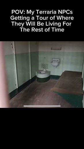 Exploring Terraria: Where Do Nymphs Live? | Funny Terraria Memes