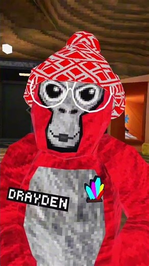 Gorilla Tag’s Computer Theory… #gorillatag