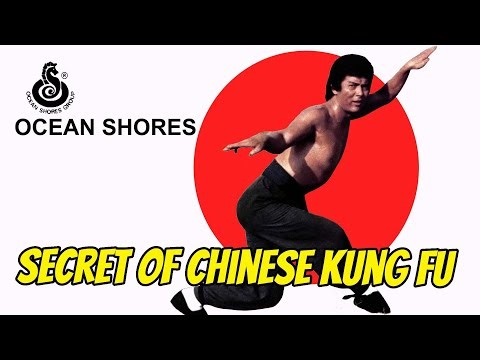 Ocean Shores - Secret of chinese kung fu /Full Martial Arts film / Shaking Eagle, Lo Lieh.