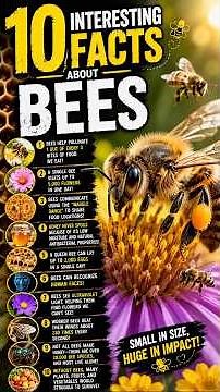 🐝 10 Interesting Facts About Bees | Tiny Insects That Keep the World Alive! #worldbeeday #beeday