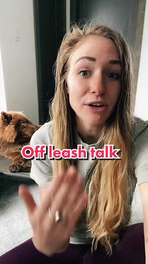 Training a Siberian Husky for Off-Leash Adventures