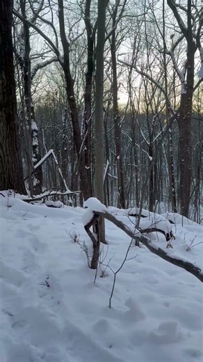 Can never get enough of either view #mathewsarchery #nature #hunting #whitetailbuck #bowhunting