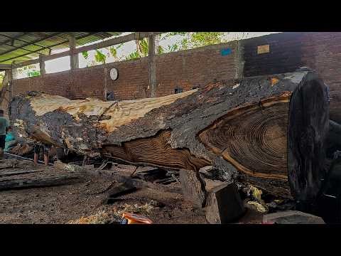The process of splitting large and long logs in a traditional sawmill is challenging!!