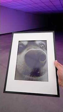 World's First Smart Color E-ink Frame - Bloomin8 Smart Frame @BLOOMIN8 #Bloomin8 #EinkCanvas