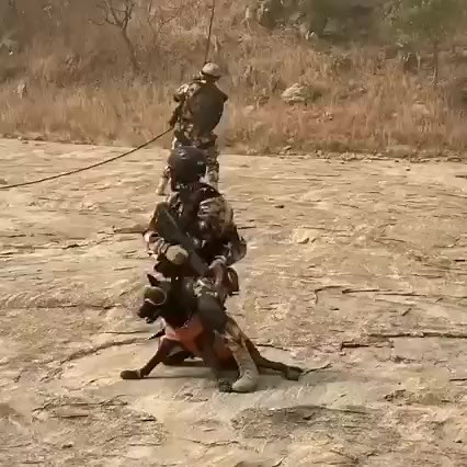 9.1K views · 186 reactions | Airforce Land Regiment- Special Forces. Can you identify them? | Support the Nigerian Military | Facebook