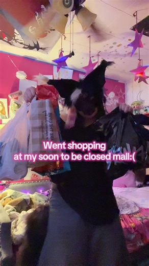 Exploring My Local Mall Before Its Closure