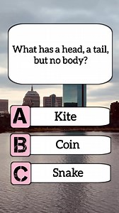 What has a head a tall but no body | Hamida Stories