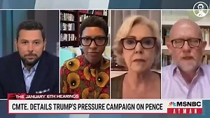 29K views · 2.1K reactions | “Mike, it’s a hard journey away from the darkness, but you’ve taken the first step.” — @therickwilson on @msnbc | The Lincoln Project | Facebook