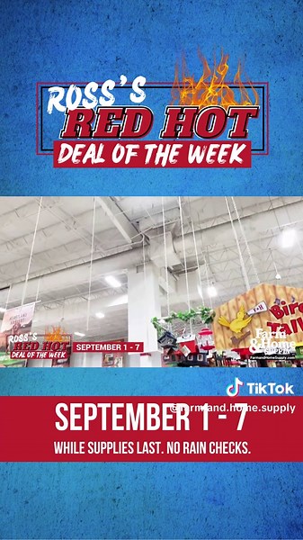 Sunflower Seed for Birds: Best Options Available