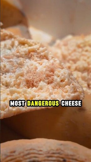 This Cheese Has Live Maggots Inside!